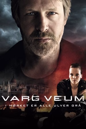 Varg Veum – Gece Tüm Kurtlar Gridir